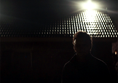 peteysparkers:Happy Halloween, Michael. Halloween (2018) dir. David Gordon Green