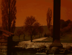 19071610df19a35105bba4408cfe13ab2e064e1d.gifv