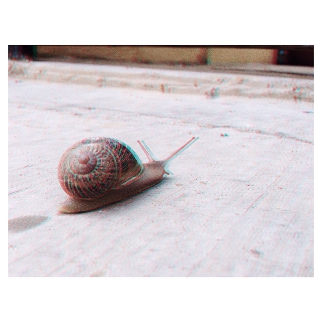 🐌 always wanted to use this emoji #snail #vsco #vscocam #vscogram #vscomex #3D #lovesit #caracol