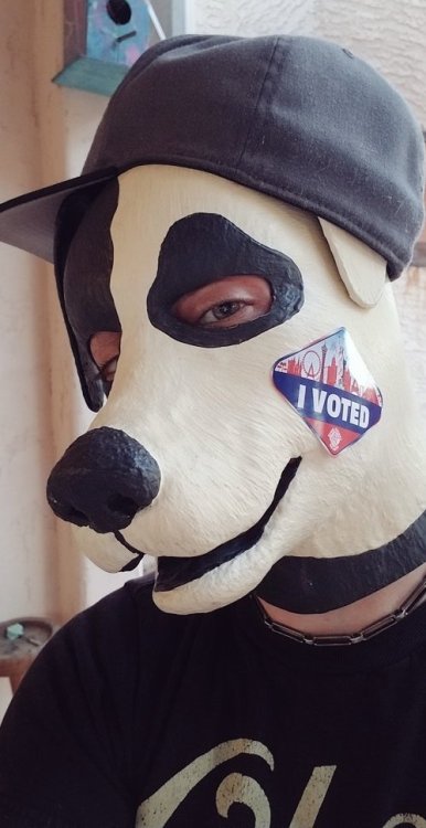 Even Pups get to Vote..wruffs #Vote2018