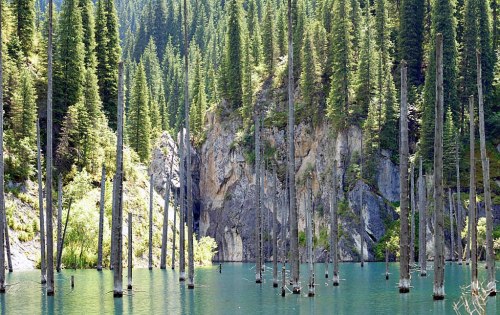 This is Kaindy Lake which is located in Kazakhstan’s portion of the Tian Shan Mountains. The lake ha