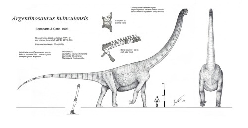 argentinosaurus