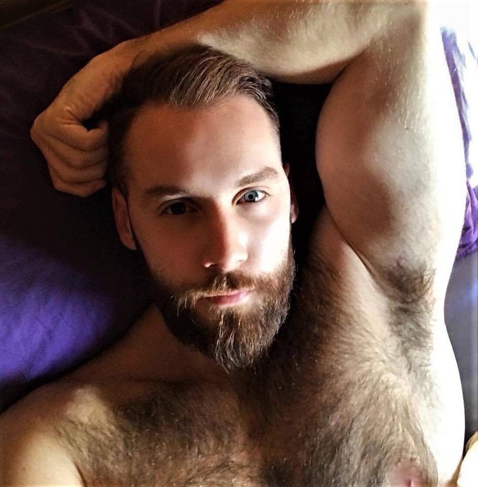 Bottom Bear