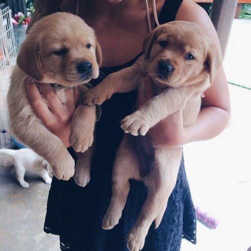 willlift4pancakes:  pnut-butter:  i wish this was me  same 