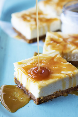 fo0o0odandcats:Salted Caramel Cheesecake Bars. now that’s just glorious