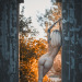 fitnesschampionxxx: