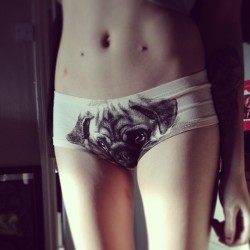 l0stkeys:  Pug knickers #me#pug 