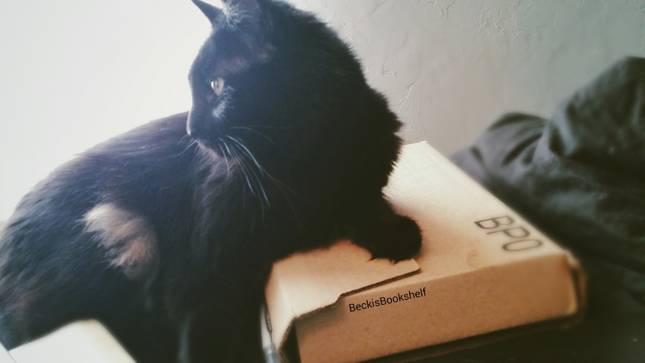 beckisbookshelf:  Fleur was in charge of keeping me out of my book packages until