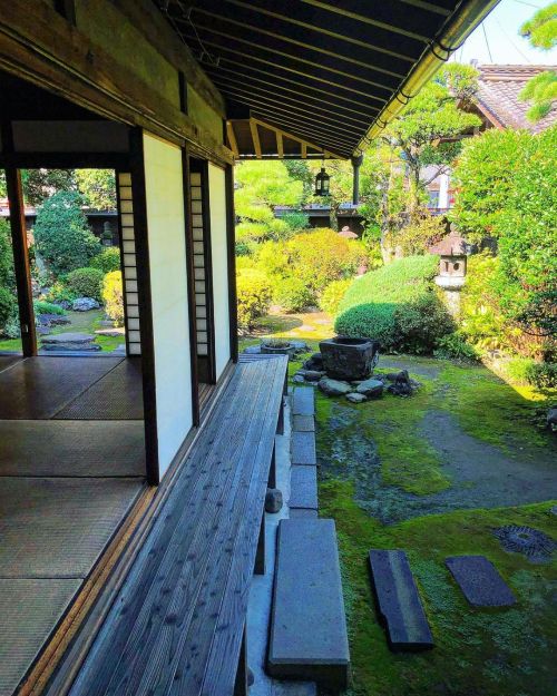 上豊岡の茶屋本陣 / Kamitoyooka-no-Chaya-Honjin Garden, Takasaki, Gunma 群馬県高崎市の『上豊岡の茶屋本陣』の庭園が素敵…！ #中山道六十九次 高崎