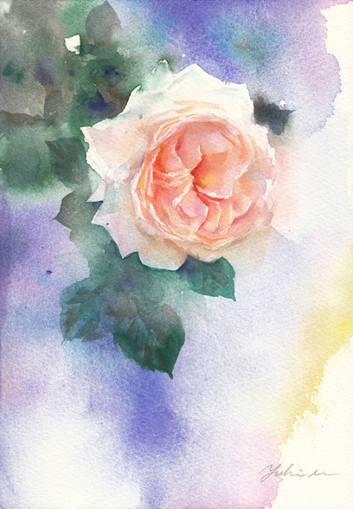 花ぼんぼり（Hanabonbori）May.18,2021watercolorsize：158*227 mm (SM)paper：water ford white (中目・300g/m2)☆*ﾟ ゜ﾟ