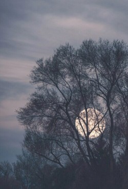 thewildfreespirit:  Pretty Moon We Heart It. 