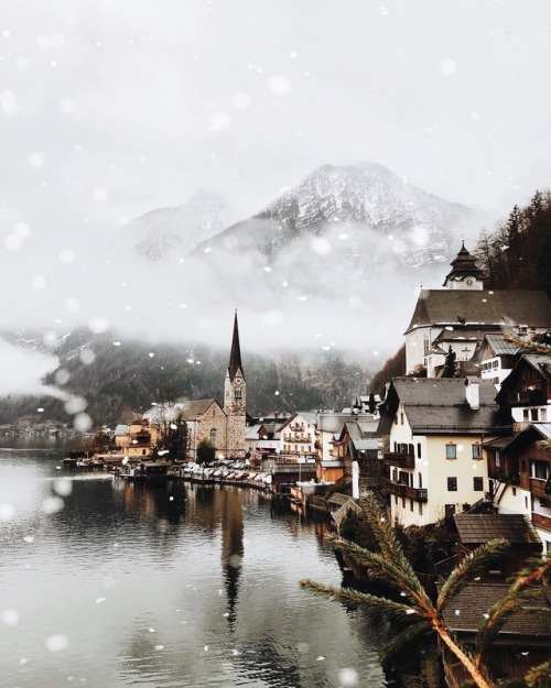 like-fairy-tales:By: Sophie | sofikulin