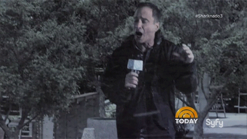 littleprincessaubrey:  ultimatemoviefanatic:  The Today Show gets hit by a Sharknado  lmfao  shanedog09 lol