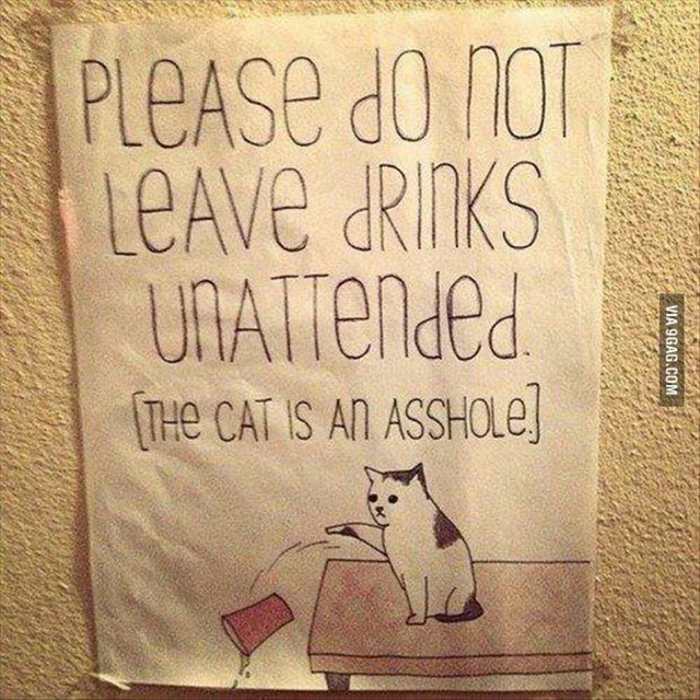 9gag:  Don’t say I haven’t warned you. #9gag