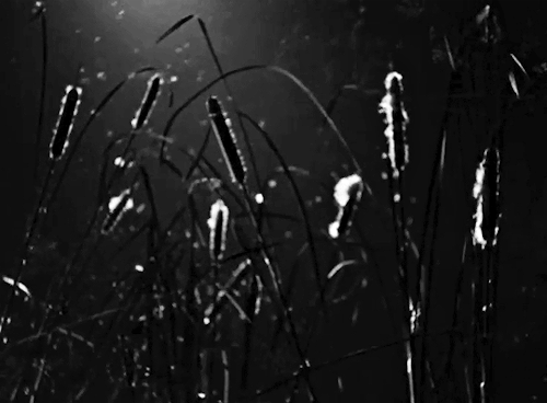 cantfightfatetoo:  It’s a hard world for little things. THE NIGHT OF THE HUNTER 1955 dir. Charles Laughton