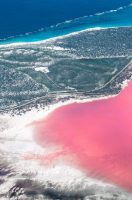 sixpenceee:The reason for Lake Hillier’s color remains a mystery. Theories abound, of course. Some s