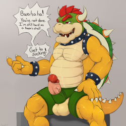 koorivlf:   The Magikoopa gave Bowser some