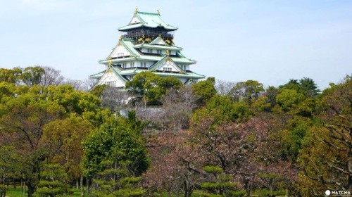 Osaka Castle Park - A History Walk Through Nature’s Timeless Beauty Osaka Castle is one of the