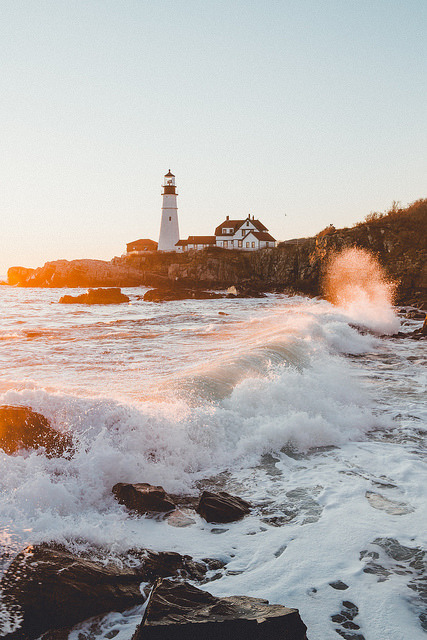 petalier:untitled by SamAlive on Flickr.