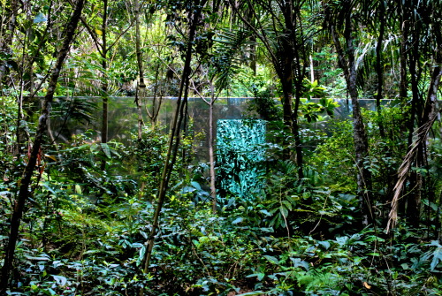 vegetation room inhotim