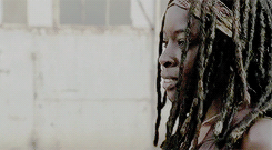 shadesofdixon:  TWD Meme: [2/3] Walker Kills → Michonne [Say The Word]
