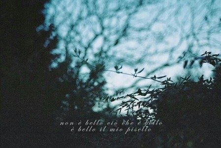 http://allergictoreality.tumblr.com/post/101351407642