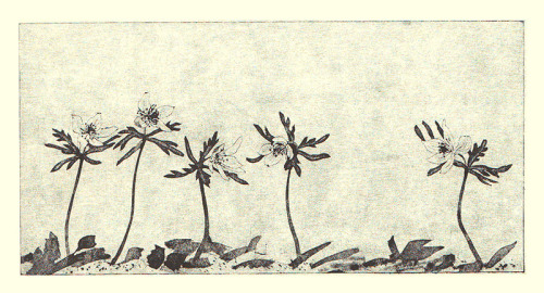 Setsubun-so by Kazuo Inoue (1932-), included in Inoue Kazuo no Yama no Hana (Mountain Flowers by Kaz