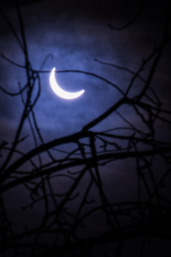 rosieburtphotography:A few shots of today’s eclipse, as seen from my garden in the Midlands at around 9am