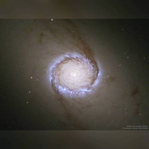 Spiral Galaxy NGC 1512: The Nuclear Ring #nasa #apod #esa #hubble #legus #spiralgalaxy #ngc1512 #barredspiralgalaxy #stars #star #gas #dust #rings #hubblespacetelescope #interstellar #intergalactic #universe #space #science #astronomy