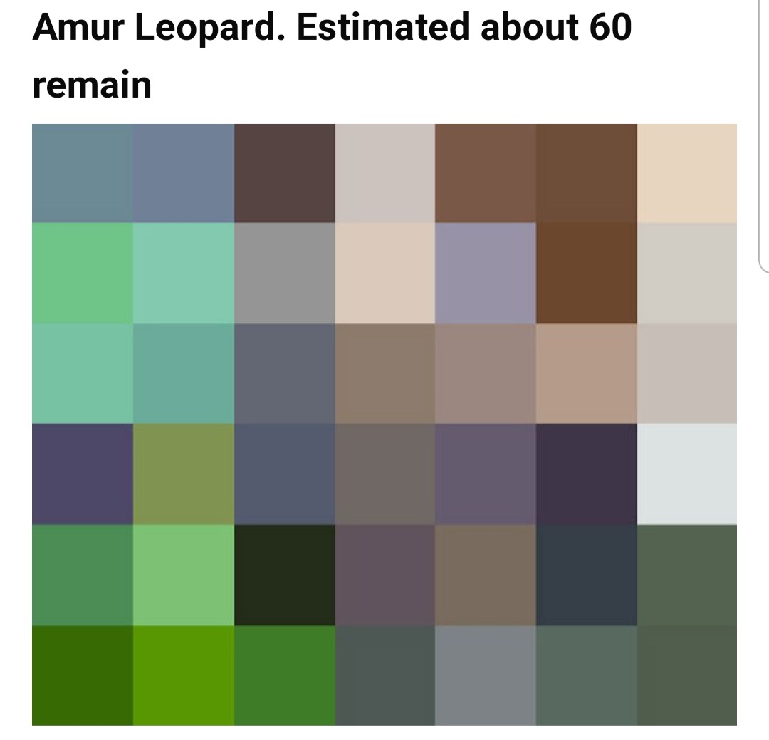 These Pics Are Composed Of As Many Pixels As There Are Animals Still Alive In These Species