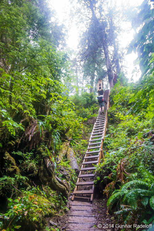 6.7.2014 - day 4 on the West Coast Trail - rain, rain, more rain ;)#BC #Canada #VancouverIsland #Wes