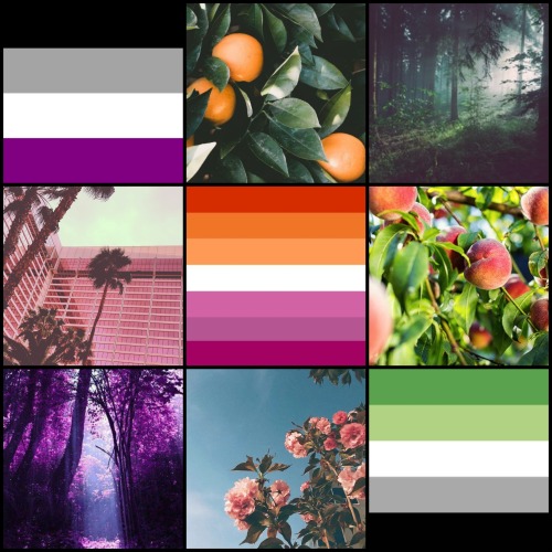 Aroace lesbian moodboard  :-] For @cookiesncreamuniverse! Hope you like this :-PWant one? Send an as