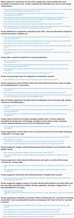 dicknurse:riot-company:A final response to the “Tell me why Trump is a fascist” by maris