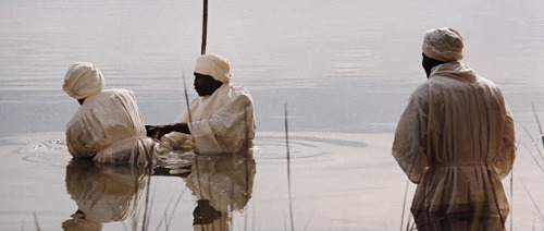 angelabassetts: Daughters of the Dust (1991) 1/5 Cinematography  At the dawn of the 20th centur