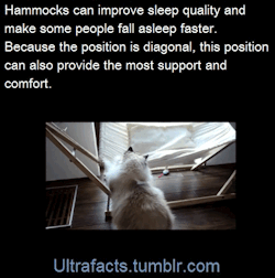 ultrafacts:  Medical research suggests that