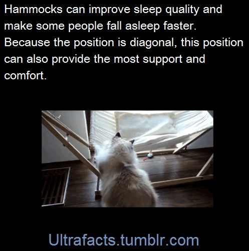 ultrafacts:  Medical research suggests that hammocks allows users to fall asleep faster and sleep more deeply compared to a traditional, stationary mattress. “It is a common belief that rocking induces sleep: We irresistibly fall asleep in a rocking