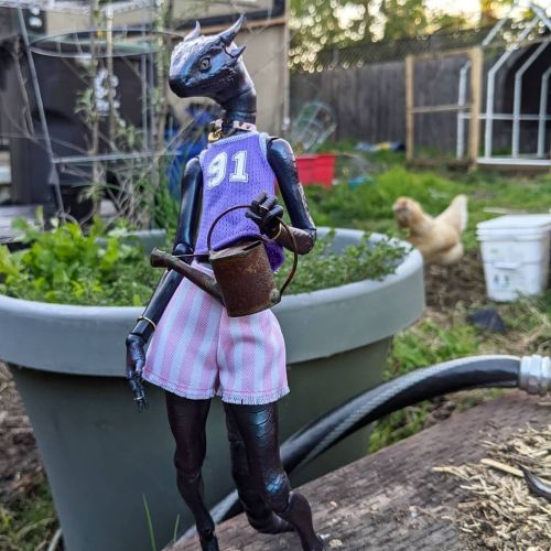 Lust enjoys gardening. Her chocobo mount, Stan can be seen in the background. Her favorite greens to