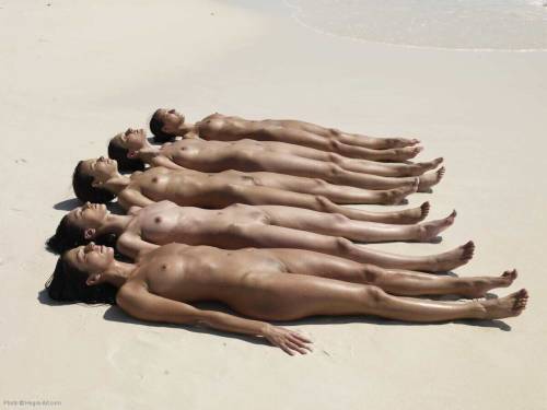 Sunbaking trims