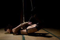 The Art Of Kinbaku