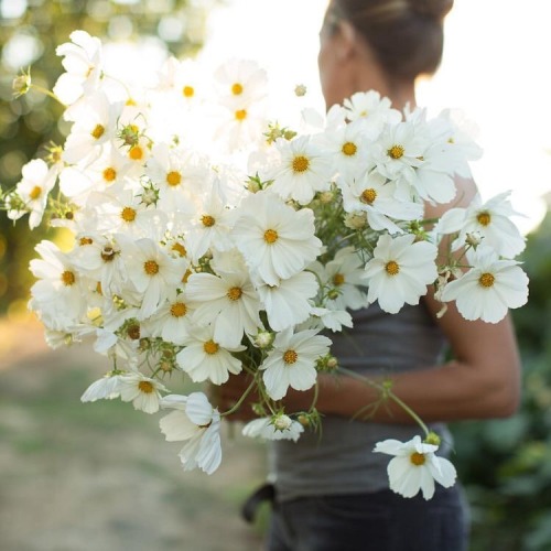 oldfarmhouse: “ 🌼🔆🍂By #Floretflower @instagram ”