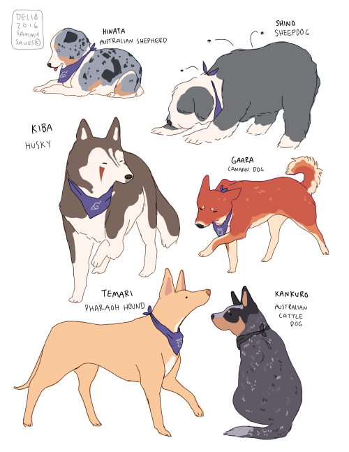 naruto, but everyone is a DOG