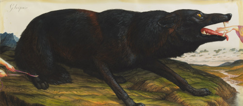 [A painting of a huge black wolf crouching atop a mountainous landscape, facing right. A small, thin hand is resting between its parted jaws, while a second pair of hands tie a thin ribbon around its back leg.]  ("Gleipnir" - Walton Ford)