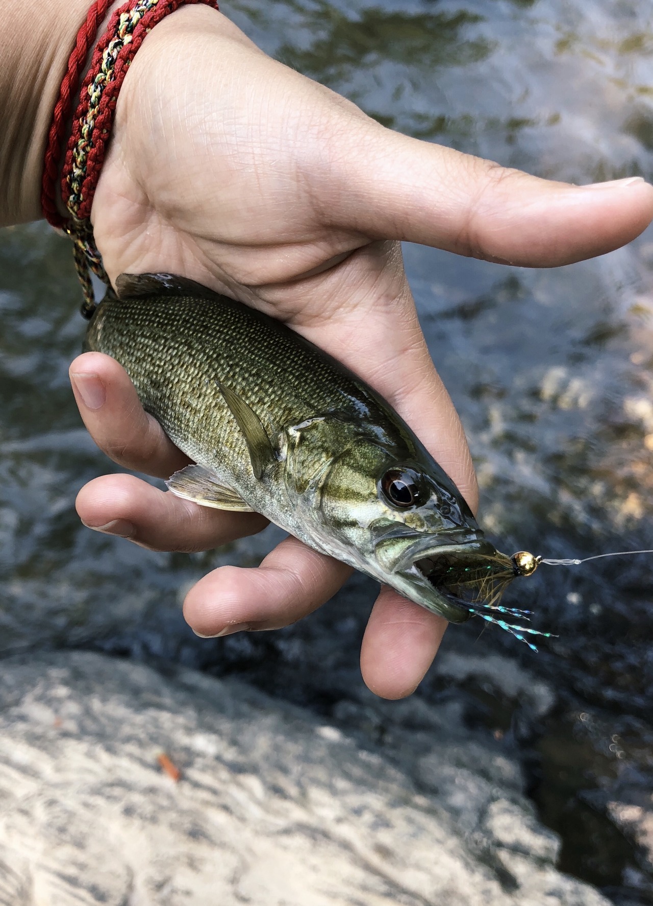 Panfish Pandemonium — Pan sized smallie!