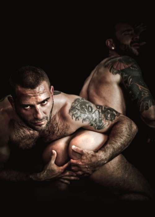 Gay Hairy Lover's