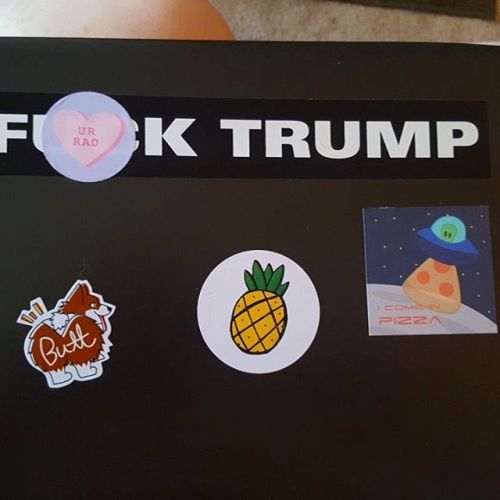 Updated sticker collection. All stickers are from @the.rad.shop with the exception of the Corgi butt