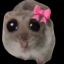 cptkat