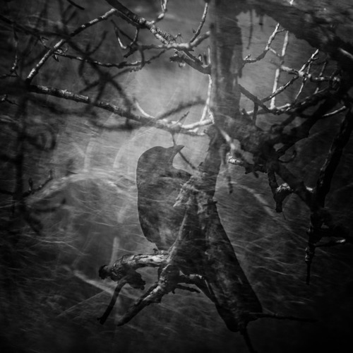 slobbering:  From the Slobbering Darkness 