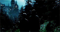 scullyxmulder-deactivated202205:  happiness can be found, even in the darkest of