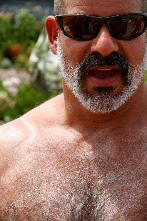 Bears, daddy, handsome older man, mature man