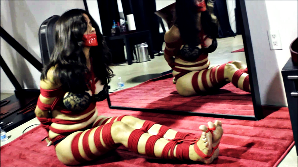 sashalee-kong:  (via the_bound_housesitter_by_rope_heavy-daabite.png (PNG Image,